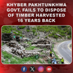 KP govt fails to dispose of timber harvested 16 years back