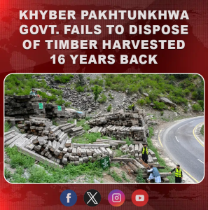 KP govt fails to dispose of timber harvested 16 years back