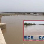 Medium Flood Declared at Guddu Barrage, Low Flood Continues at Sukkur Barrage