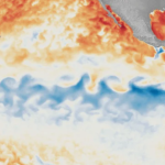 El Nino weather pattern underway as global ocean heat hits new peak