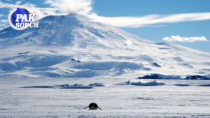 Here’s why the South Pole froze over before the North Pole
