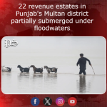 22 revenue estates in Punjab’s Multan district partially submerged under floodwaters