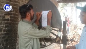 Forest Department Seals Over 11 Illegal Sawmills in Sukkur Division Crackdown