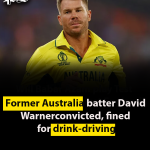 Former Australia batter David Warner convicted, fined for drink-driving