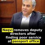 Naqvi removes deputy directors after finding poor service at passport office