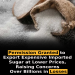 Permission Granted to Export Expensive Imported Sugar at Lower Prices, Raising Concerns Over Billions in Losses