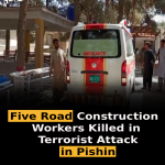 Five Road Construction Workers Killed in Terrorist Attack in Pishin