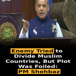 Enemy Tried to Divide Muslim Countries, But Plot Was Foiled: PM Shehbaz