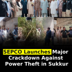 SEPCO Launches Major Crackdown Against Power Theft in Sukkur