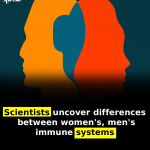 Scientists uncover differences between women’s, men’s immune systems