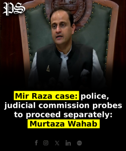 Mir Raza case: police, judicial commission probes to proceed separately: Murtaza Wahab