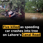 Five killed as speeding car crashes into tree on Lahore’s Canal Road