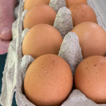 Louisiana reports Salmonella outbreak linked to massive egg recall: Brands, lot codes, and symptoms