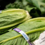 Cyclosporiasis probe linked to lettuce widens to THESE US states