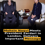 Mohsin Naqvi Meets President Zardari in London, Delivers Important Message