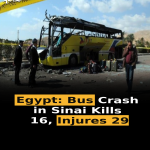 Egypt: Bus Crash in Sinai Kills 16, Injures 29