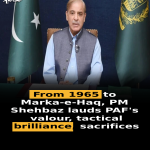 From 1965 to Marka-e-Haq, PM Shehbaz lauds PAF’s valour, tactical brilliance, sacrifices