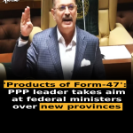 ‘Products of Form-47’: PPP leader takes aim at federal ministers over new provinces