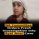 NA Committee Orders Fresh Investigation into Ayat Noor Case