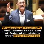 ‘Products of Form-47’: PPP leader takes aim at federal ministers over new provinces