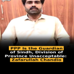 PPP Is the Guardian of Sindh, Division of Province Unacceptable: Zafarullah Chandio