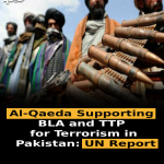 Al-Qaeda Supporting BLA and TTP for Terrorism in Pakistan: UN Report