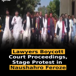 Lawyers Boycott Court Proceedings, Stage Protest in Naushahro Feroze