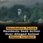 Naushehro Feroze Residents Seek Action Over Alleged Animal Abuse Incident