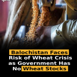 Balochistan Faces Risk of Wheat Crisis as Government Has No Wheat Stocks