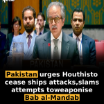 Pakistan urges Houthis to cease ships attacks, slams attempts to weaponise Bab al-Mandab