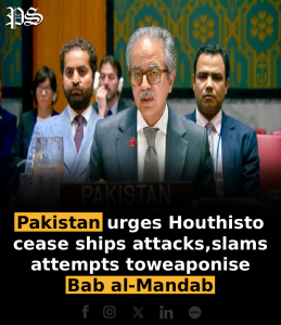 Pakistan urges Houthis to cease ships attacks, slams attempts to weaponise Bab al-Mandab