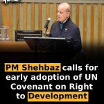 PM Shehbaz calls for early adoption of UN Covenant on Right to Development