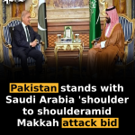 Pakistan stands with Saudi Arabia ‘shoulder to shoulder’ amid Makkah attack bid