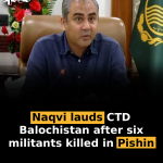 Naqvi lauds CTD Balochistan after six militants killed in Pishin