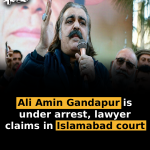 Ali Amin Gandapur is under arrest, lawyer claims in Islamabad court