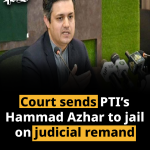 Court sends PTI’s Hammad Azhar to jail on judicial remand