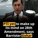 PTI yet to make up its mind on 28th Amendment, says Barrister Gohar