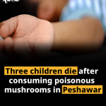 Three children die after consuming poisonous mushrooms in Peshawar
