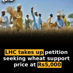 LHC takes up petition seeking wheat support price at Rs5,000