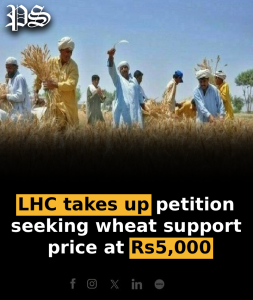 LHC takes up petition seeking wheat support price at Rs5,000