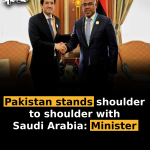 Pakistan stands shoulder to shoulder with Saudi Arabia: Minister