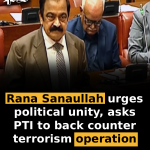Rana Sanaullah urges political unity, asks PTI to back counterterrorism operation