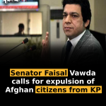 Senator Faisal Vawda calls for expulsion of Afghan citizens from KP