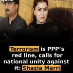 Terrorism is PPP’s red line, calls for national unity against it: Shazia Marri