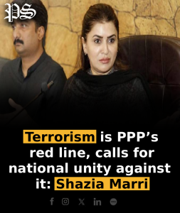Terrorism is PPP’s red line, calls for national unity against it: Shazia Marri