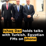 Ishaq Dar holds talks with Turkish, Egyptian FMs on phone